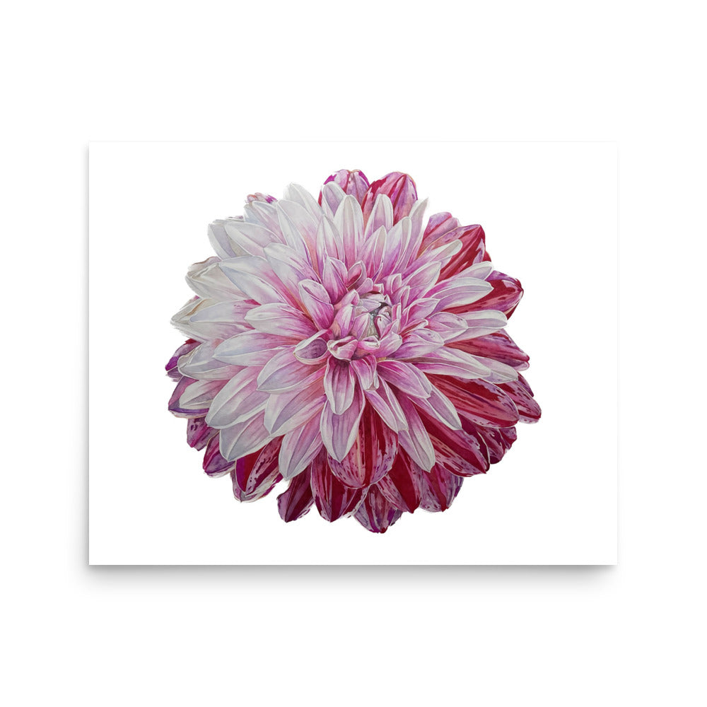 STRAWBERRIES N CREAM dahlia Poster