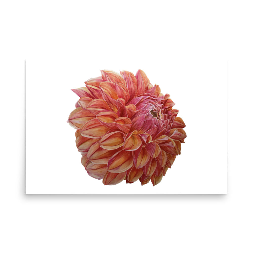 KA'S BLOOD ORANGE dahlia Poster