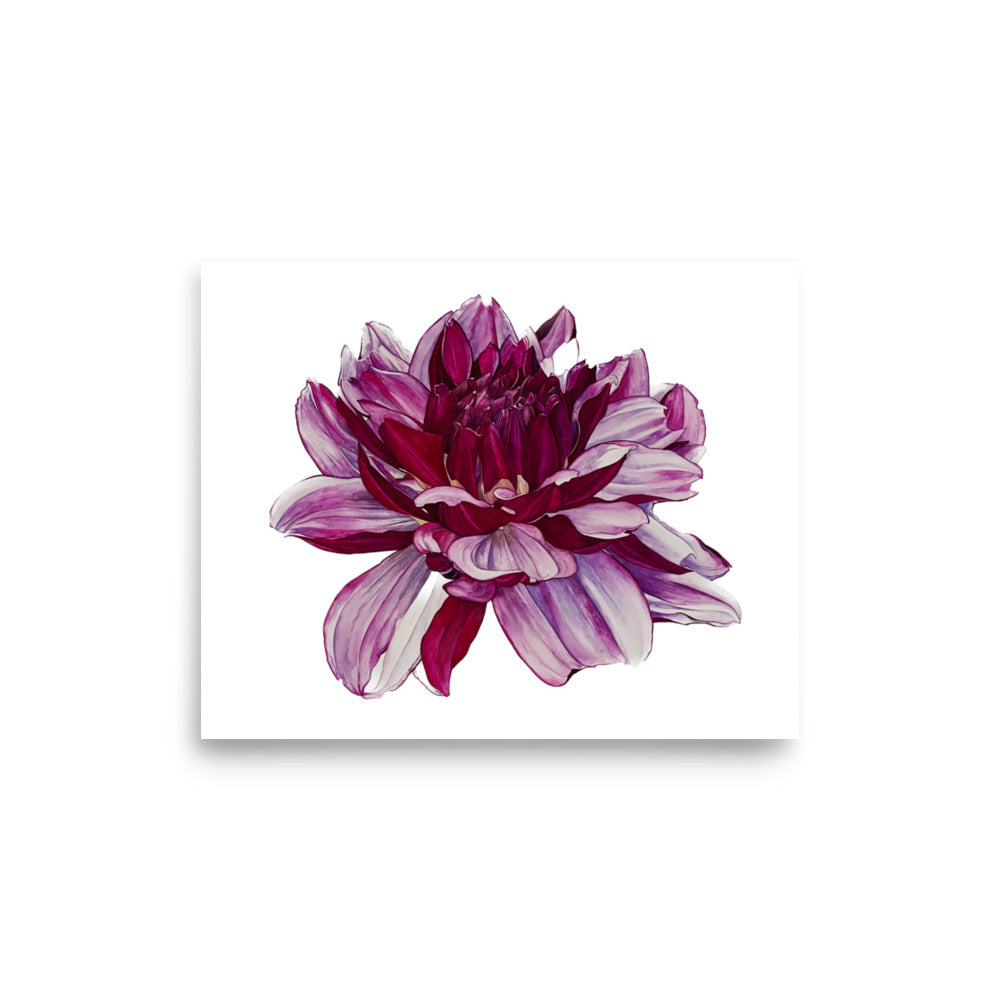 CREME DE CASIS dahlia Poster