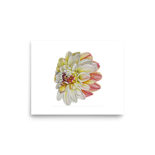 DOUBLE JILL dahlia Poster