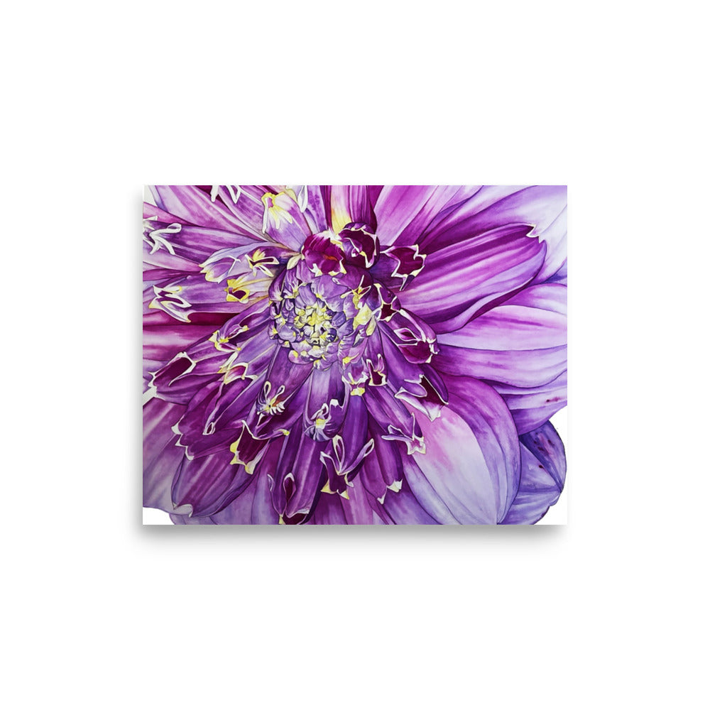 ANEMONE dahlia Poster