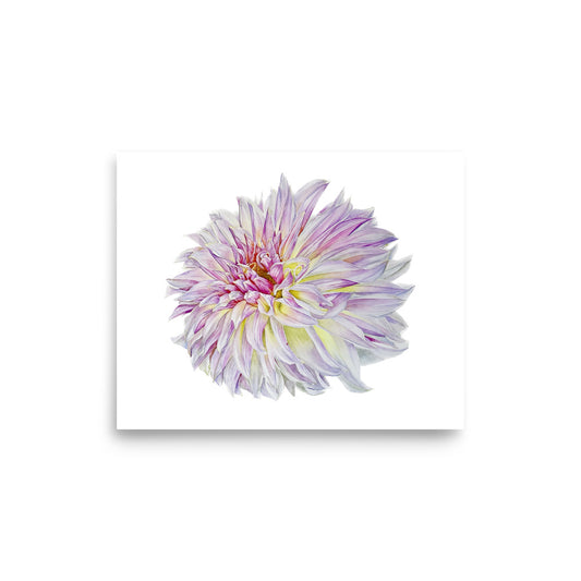 KA'S CHAMPAGNE dahlia Poster