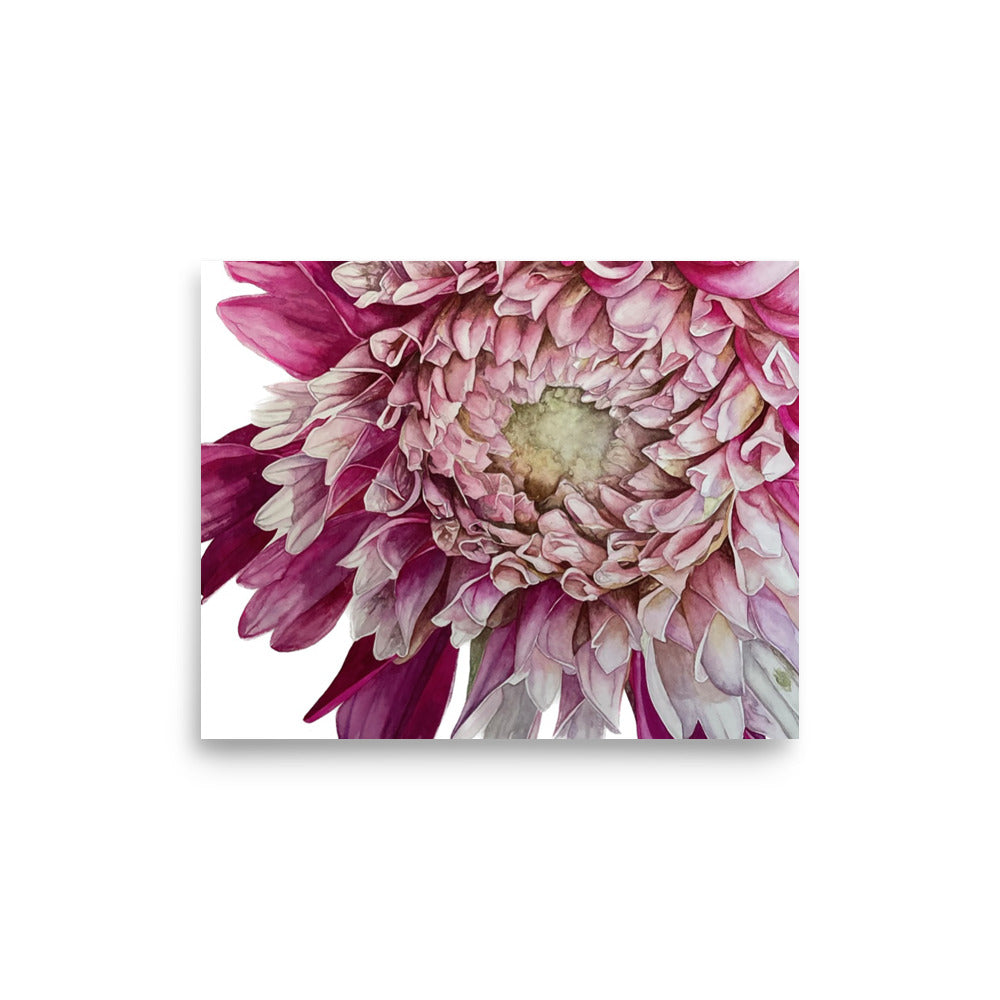 FUZZY WUZZY dahlia Poster