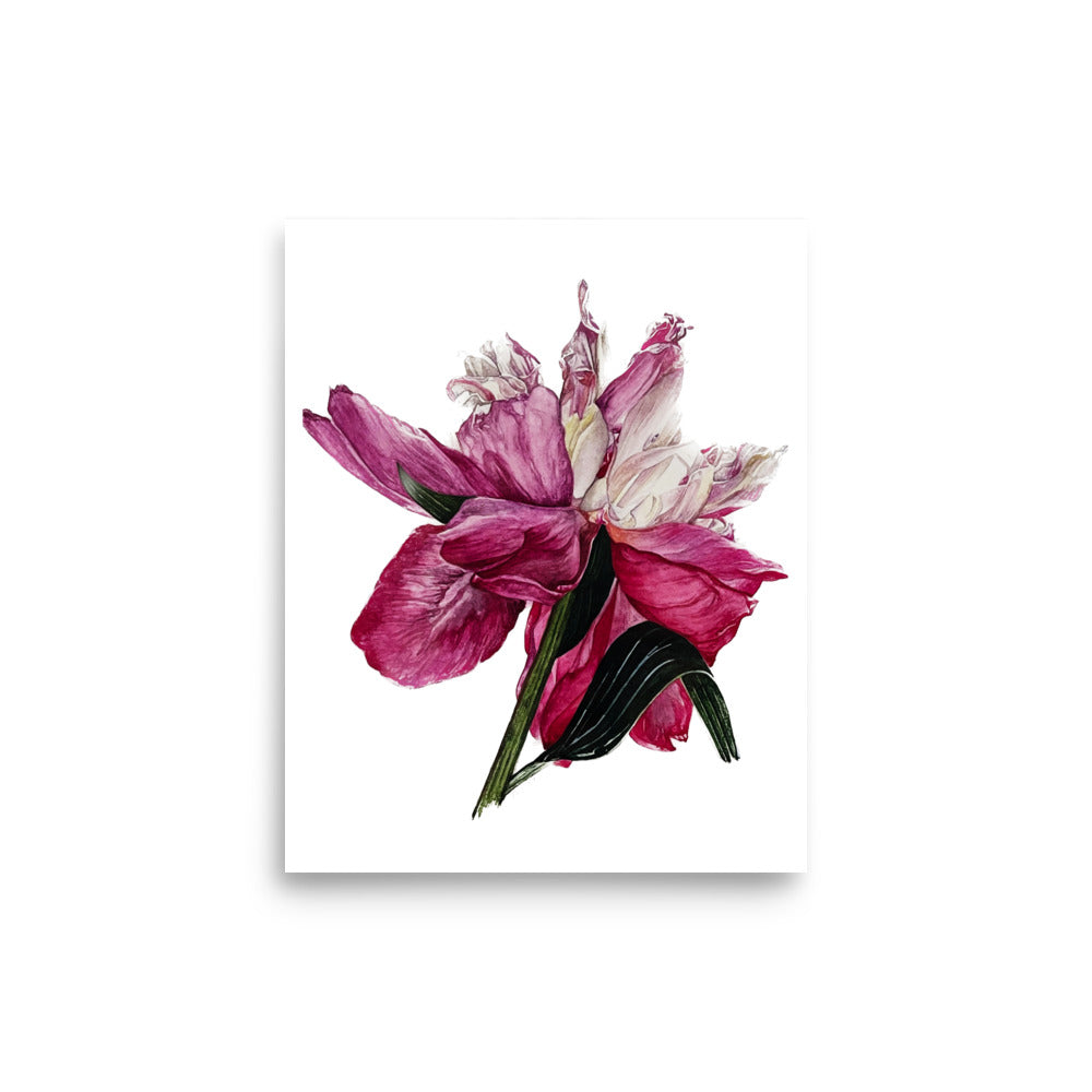 PEONY Poster