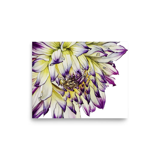 PURPLE TIPPED dalia Poster