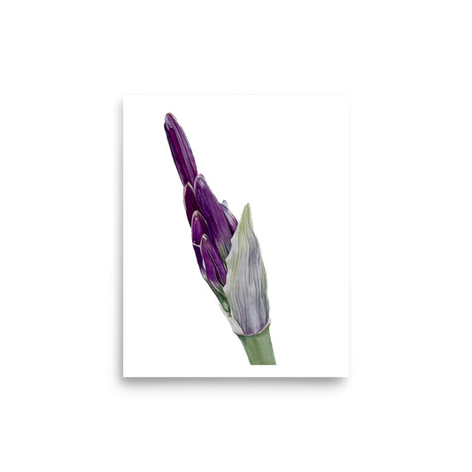 FLOWER BUD Poster