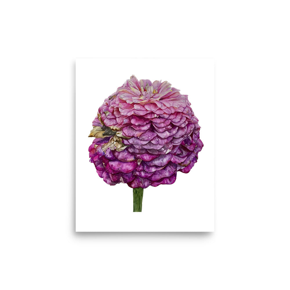 FADED PURPLE zinnia Poster
