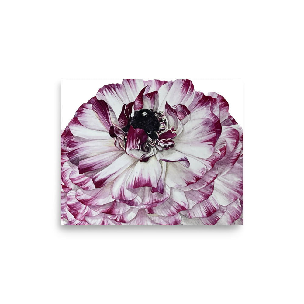 RANUNCULUS Poster