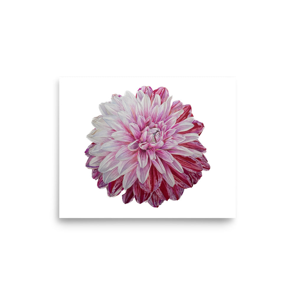 STRAWBERRIES N CREAM dahlia Poster